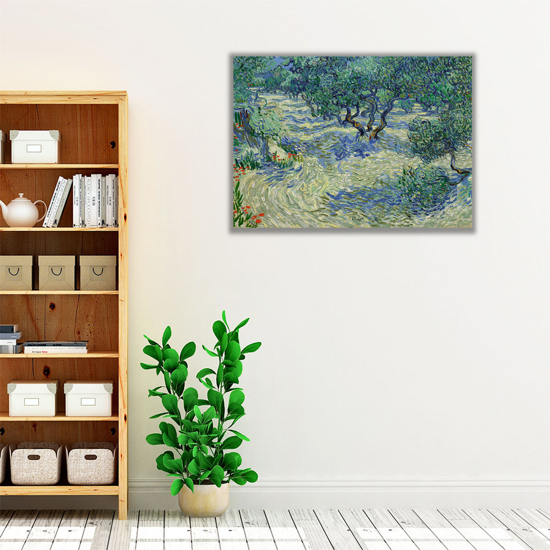 Olive Orchard, 1889 - Canvas Print Wall Art