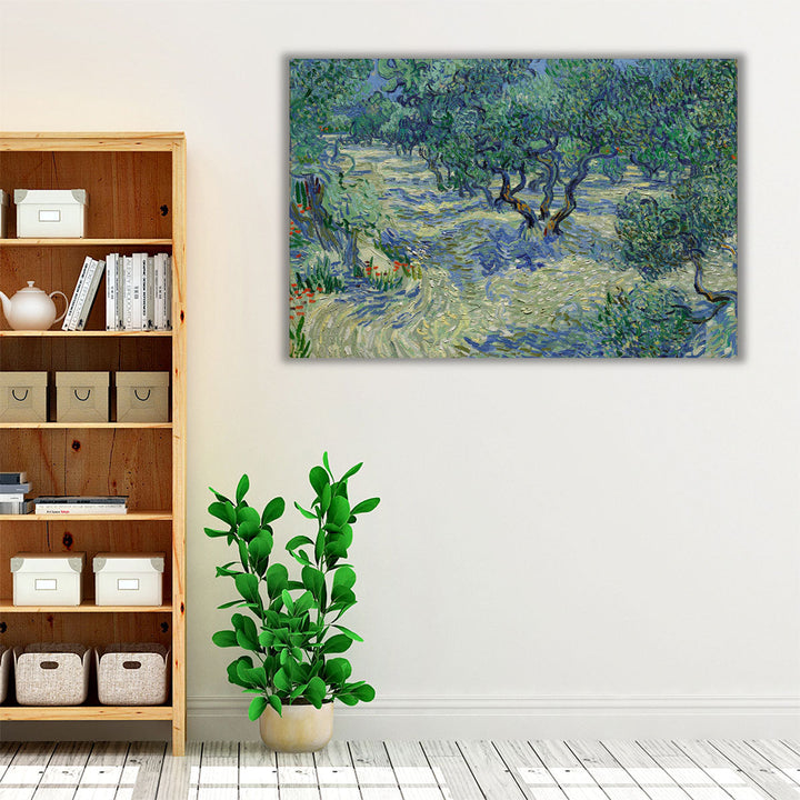 Olive Orchard, 1889 - Canvas Print Wall Art