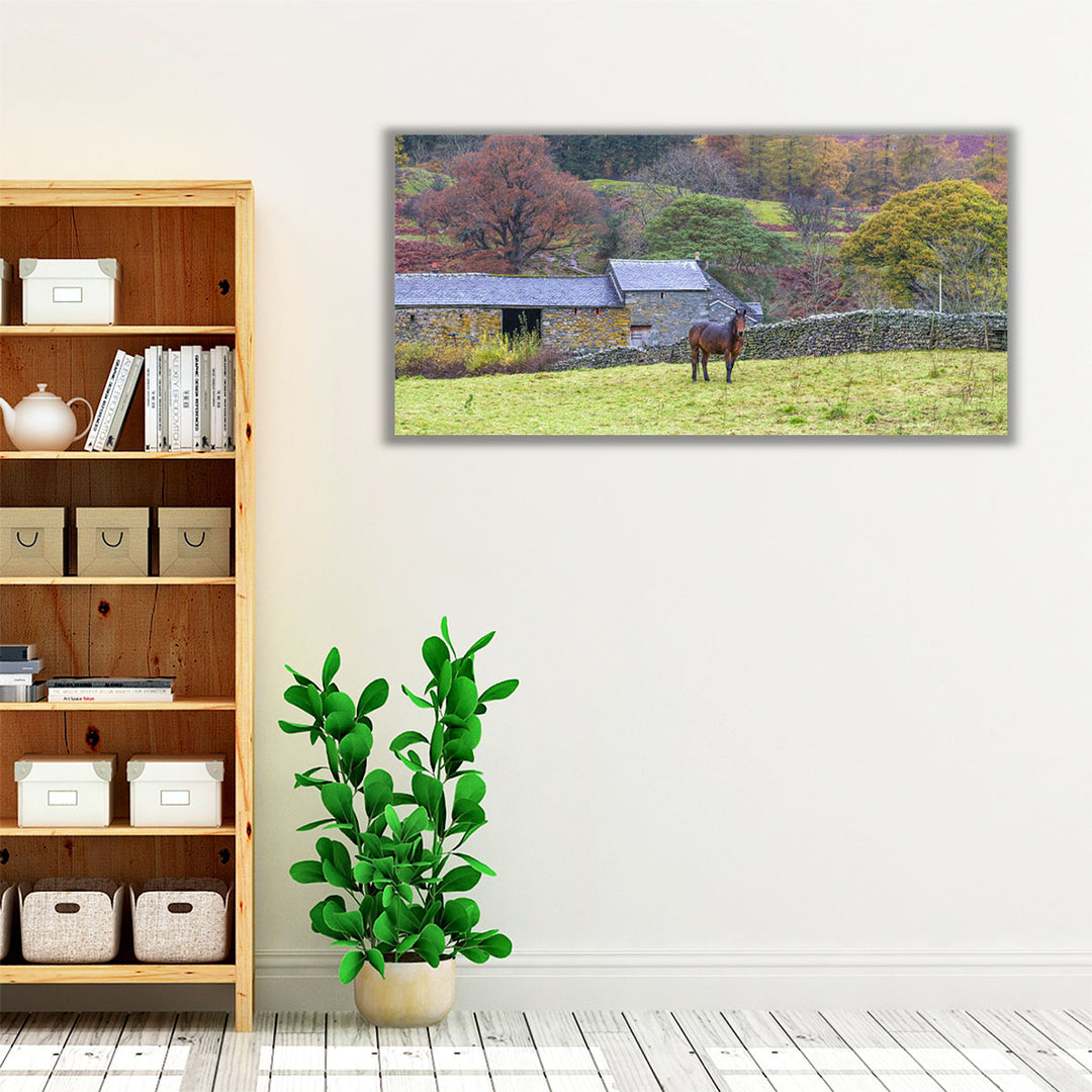 Horse in a Field - Canvas Print Wall Art