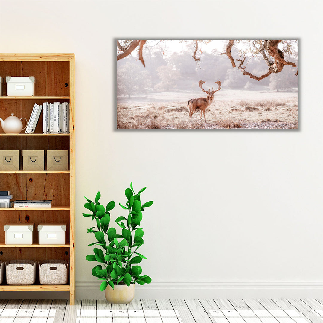 Stag in a Field - Canvas Print Wall Art