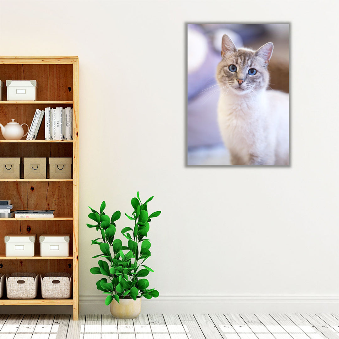 Cute Cat - Canvas Print Wall Art