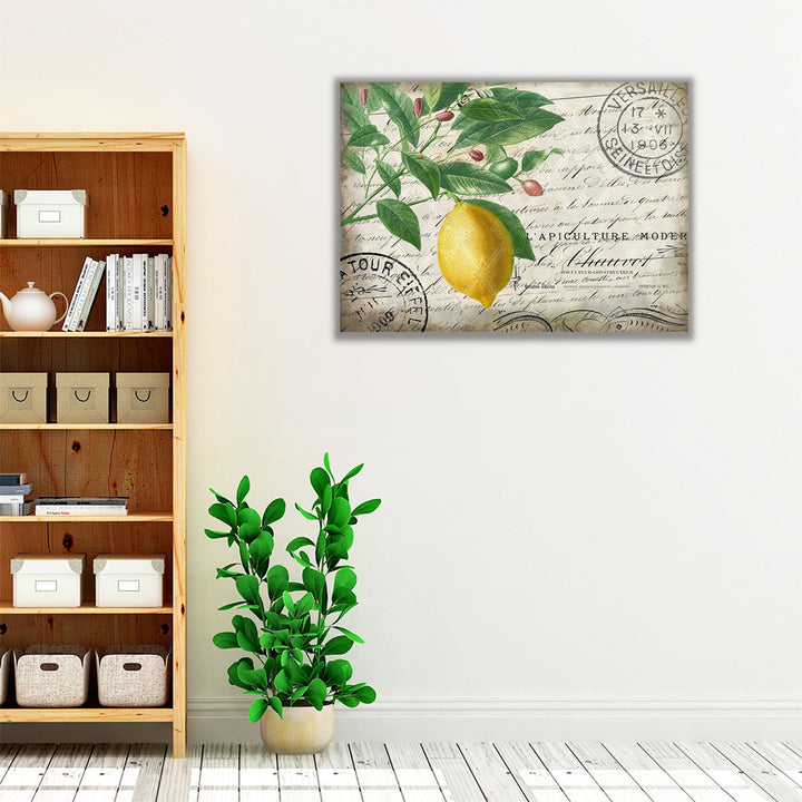 Vintage Lemon- Canvas Print Wall Art
