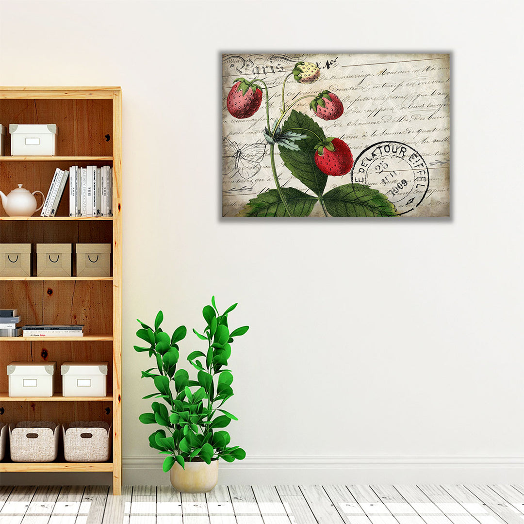 Vintage Strawberry - Canvas Print Wall Art