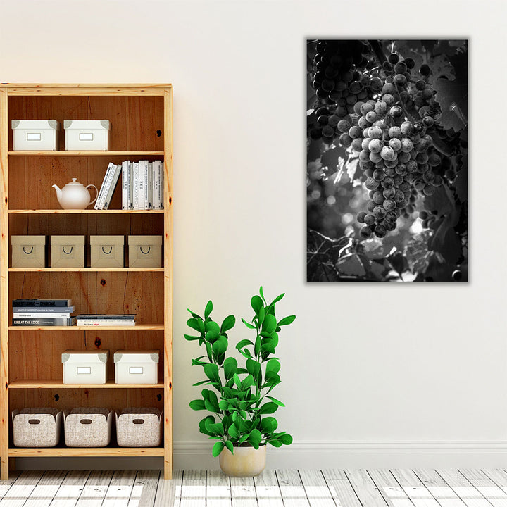 Fruit of The Vine - Canvas Print Wall Art