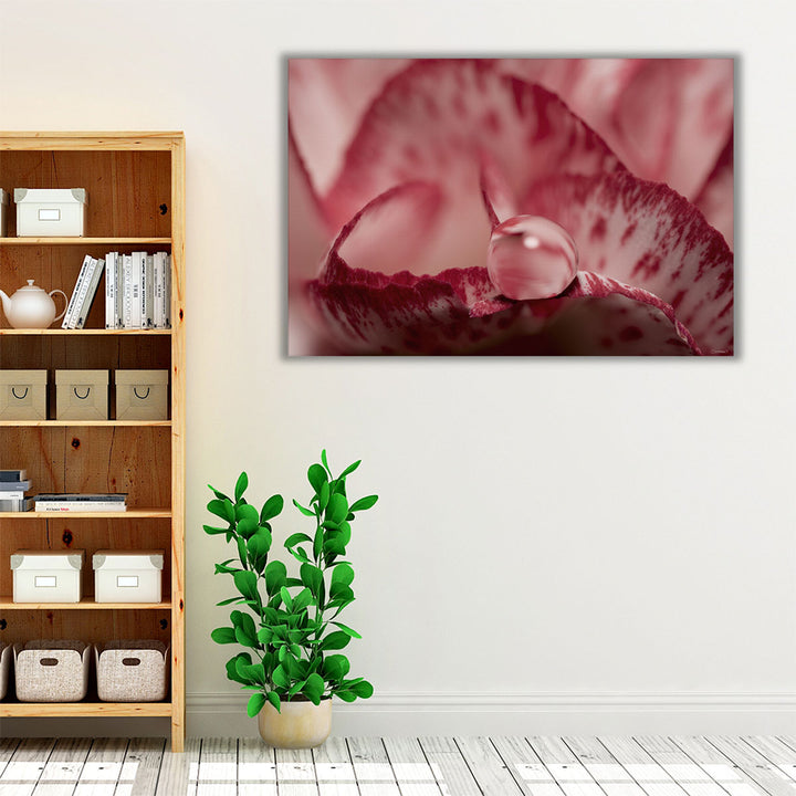 Dew Drops Macro 1 - Canvas Print Wall Art