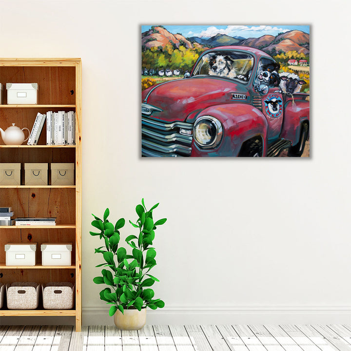 1-800 Ewe Guys - Canvas Print Wall Art