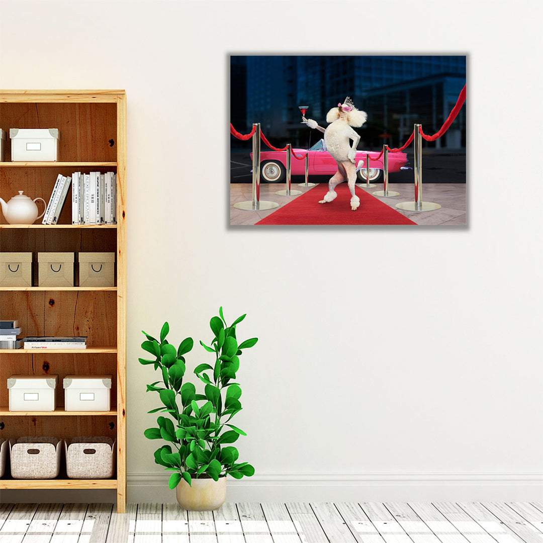 Poodle Premier - Canvas Print Wall Art
