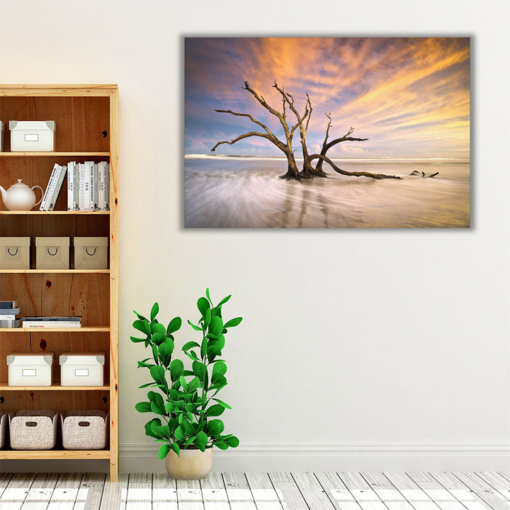 Folly Beach, Dead Tree Driftwood Ocean Sunset Landscape - Canvas Print Wall Art