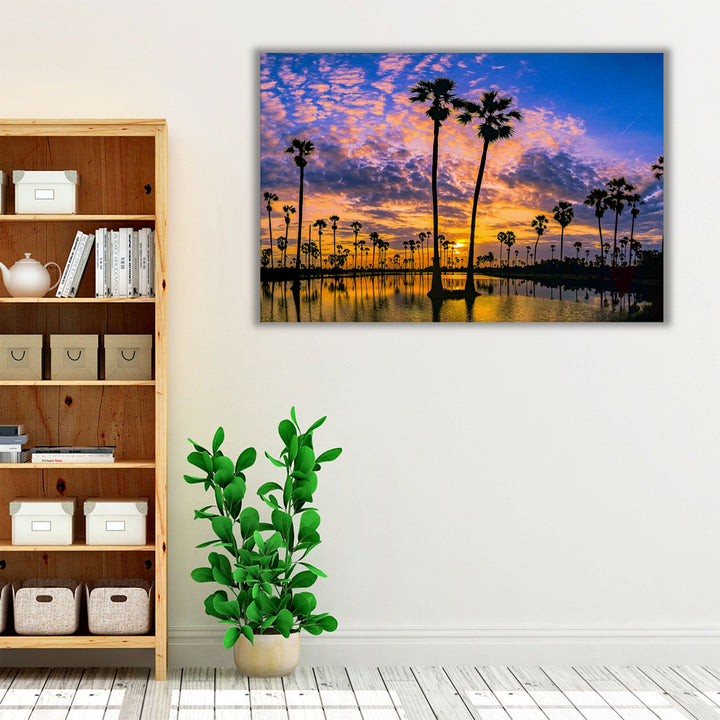 Sugar Palm Trees on The Paddy Field in Sunrise, Thani, Thailand - Canvas Print Wall Art