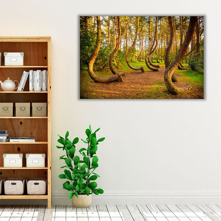 The Famous Gryfino Mysteriously Curved Pine Trees - Canvas Print Wall Art