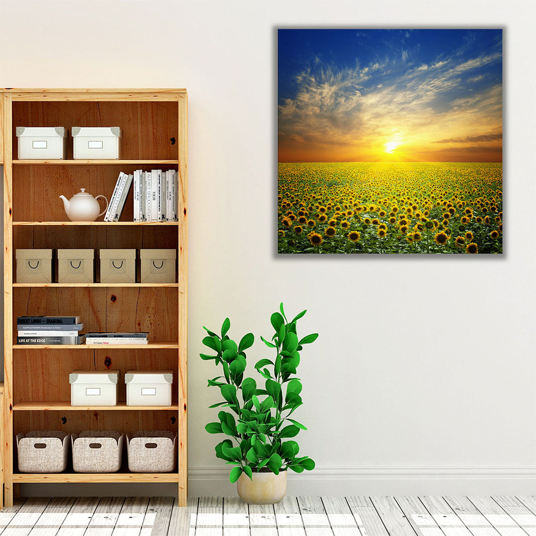 Summer Landscape, Sunset Over Sunflowers Field - Canvas Print Wall Art