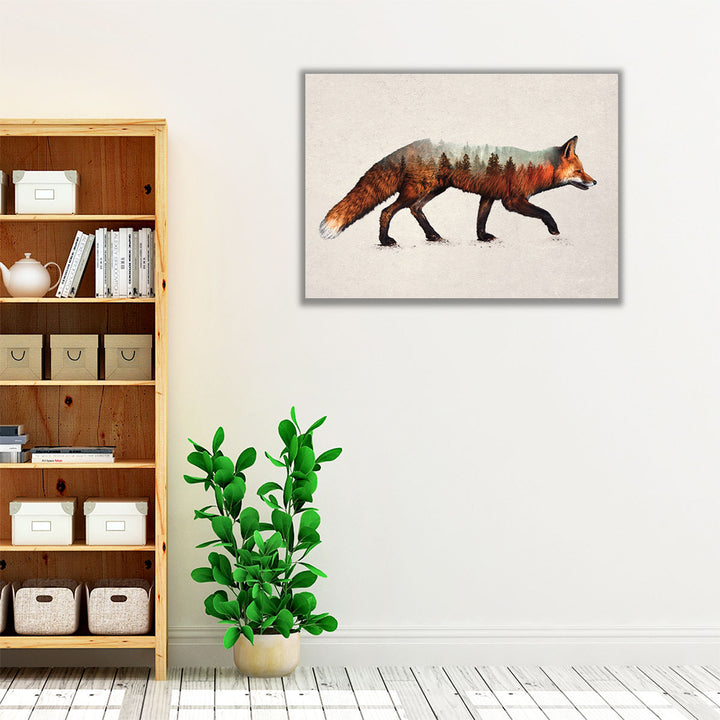 The Red Fox - Canvas Print Wall Art