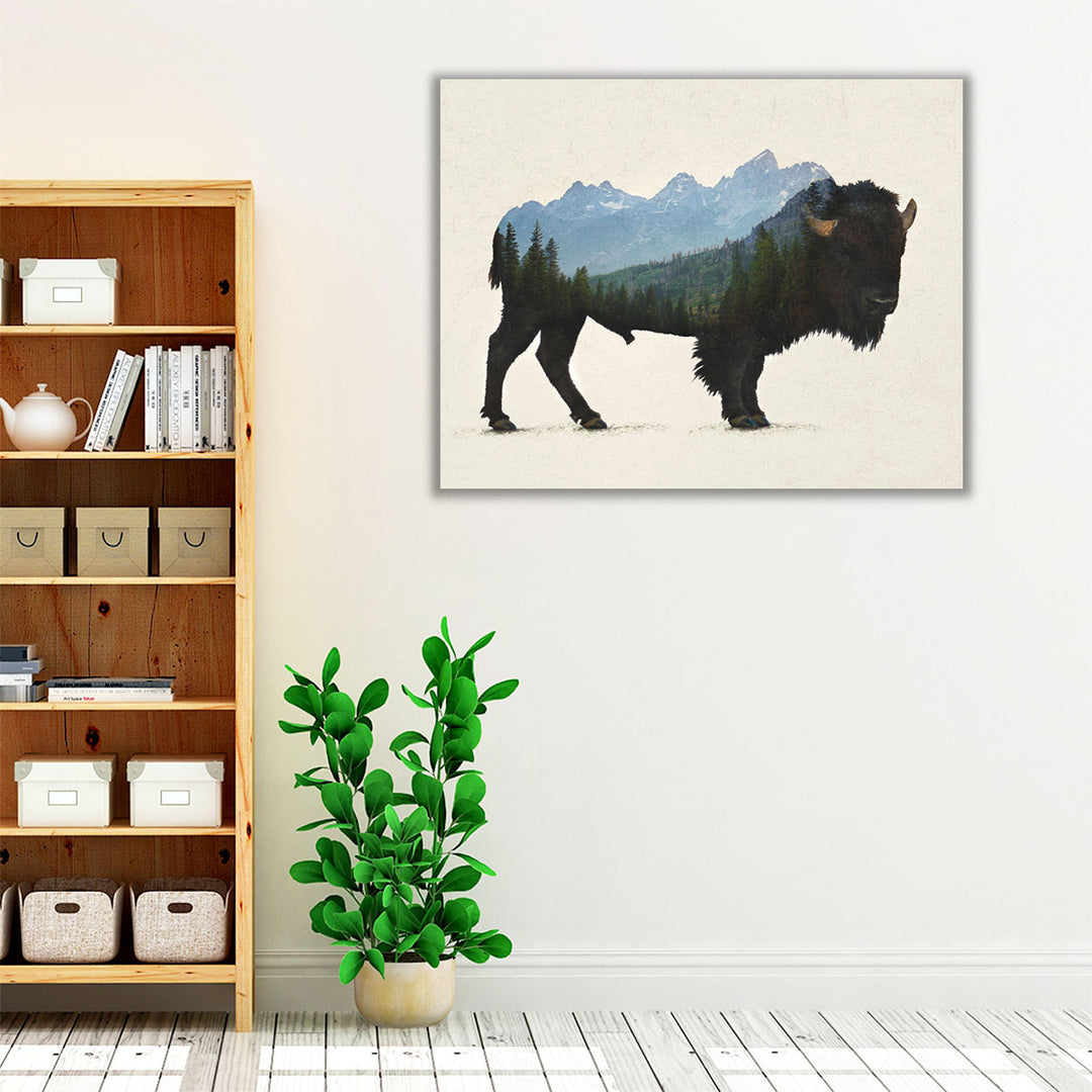 Grand Teton Bison - Canvas Print Wall Art