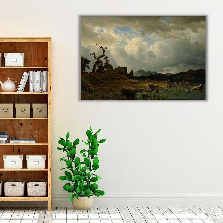 Framed canvas nature-inspired hallway décor