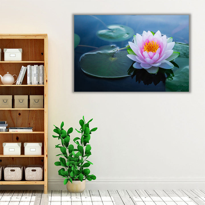 Beautiful Waterlily Flower in a Pond - Canvas Print Wall Art