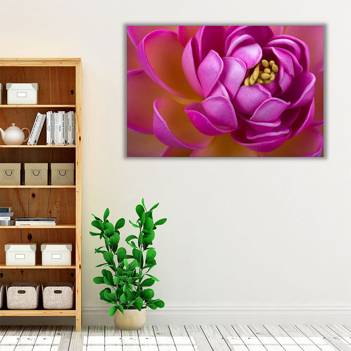 Beautiful Pink Lotus Flower Close-Up - Canvas Print Wall Art