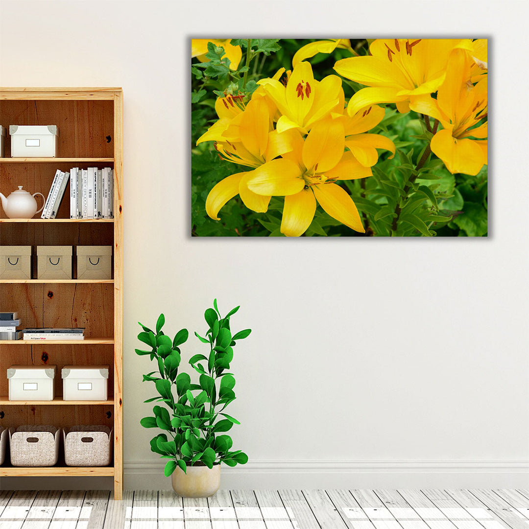 Blooming Yellow Lily Flowers - Canvas Print Wall Art