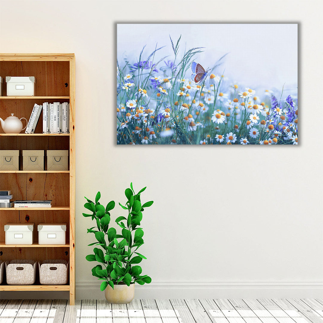 Chamomile, Purple Wild Peas, Butterfly in Morning Haze - Canvas Print Wall Art