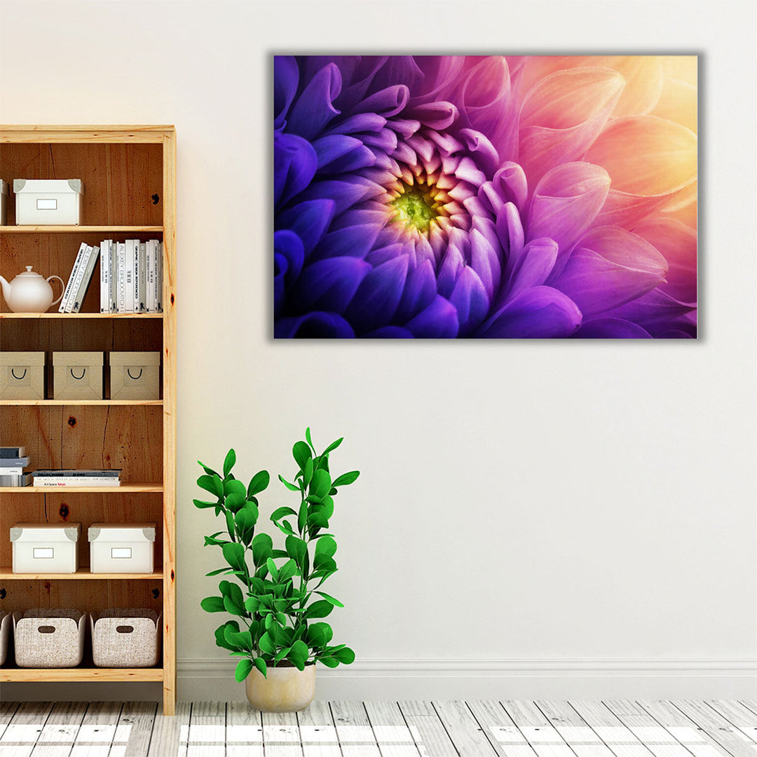 Chrysanthemum Flower Macro Shot - Canvas Print Wall Art