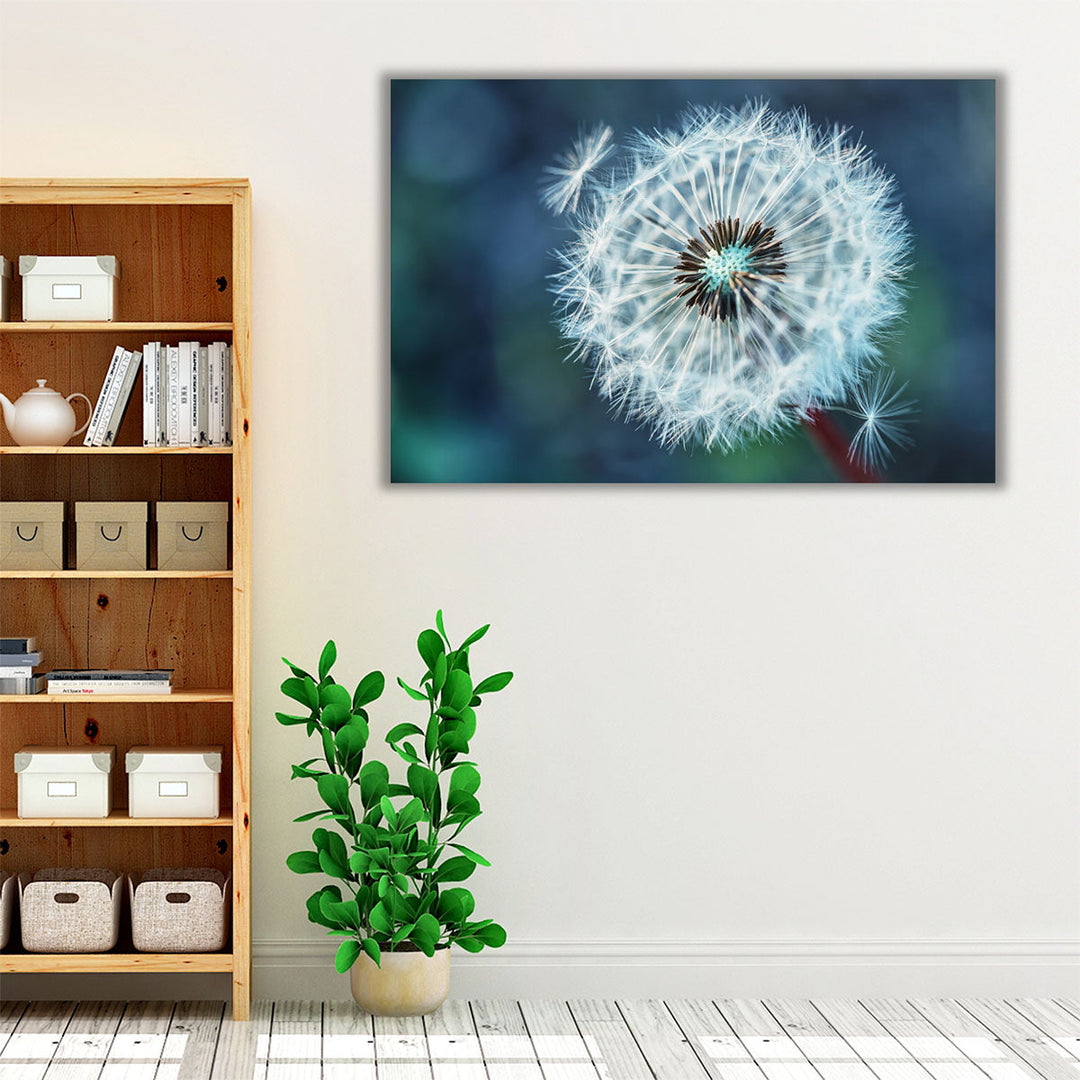 Close-Up Dandelion Tranquil - Canvas Print Wall Art