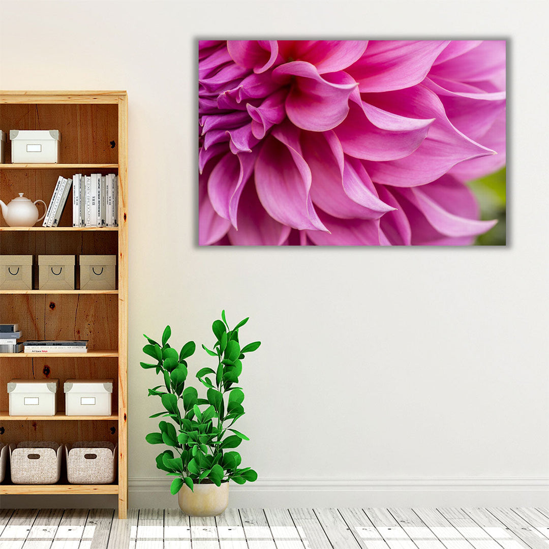 Close-Up of Pink Flower - Canvas Print Wall Art