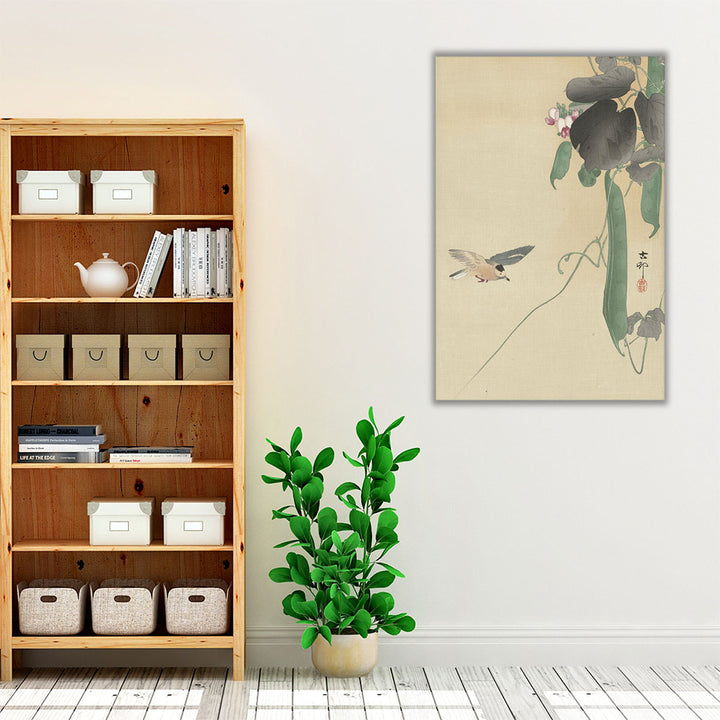 Bird at Flowering Bean Plant, 1900 -1930 - Canvas Print Wall Art