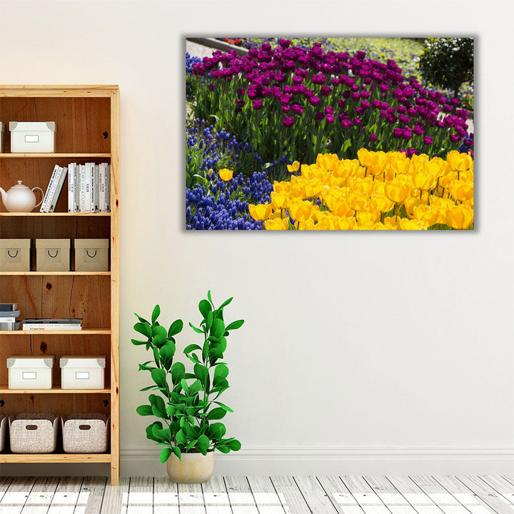 Colorful Blooming Flowers in Spring Season - Canvas Print Wall Art