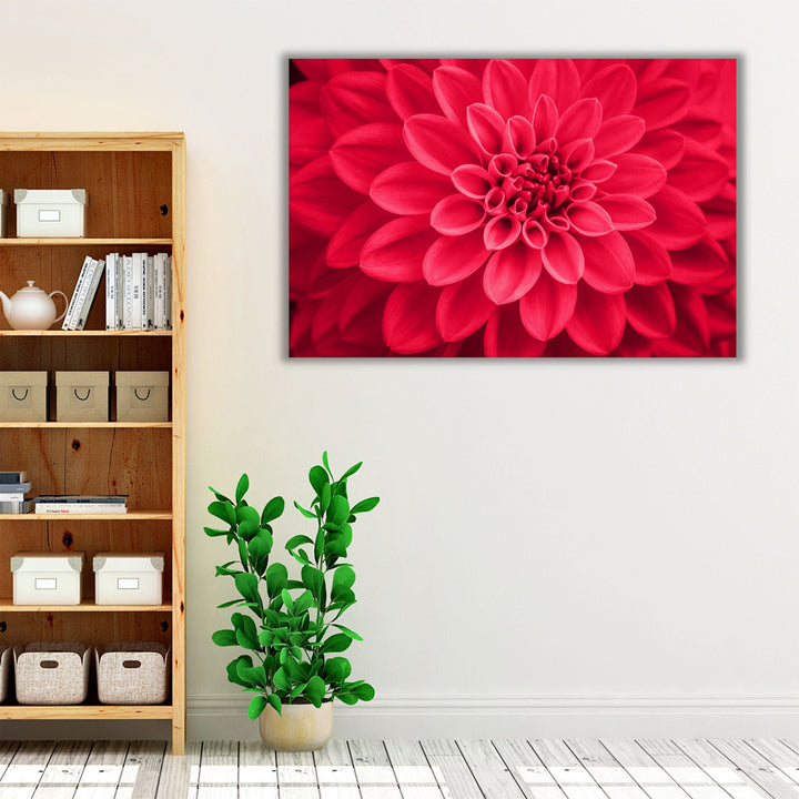 Defocused Pink Dahlia Petals Macro, Floral Abstract - Canvas Print Wall Art