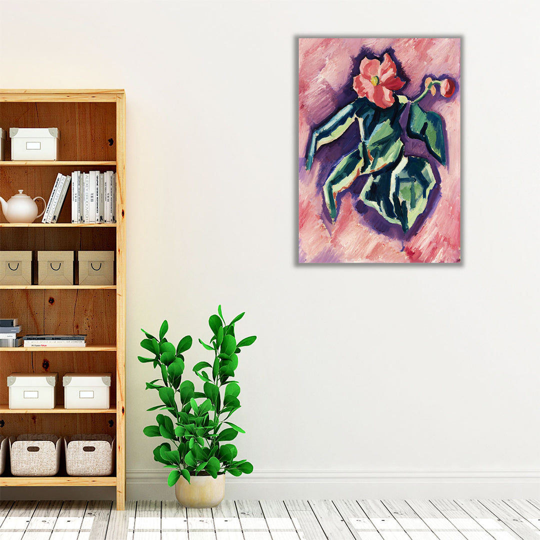 Pink Begonias, 1928-1929 - Canvas Print Wall Art