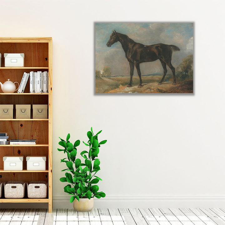 Golding Constable’s Black Riding Horse - Canvas Print Wall Art