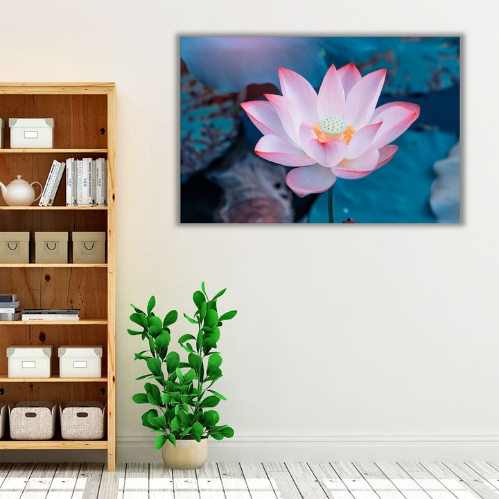 Pink Lotus Flower In Water - Canvas Print Wall Art