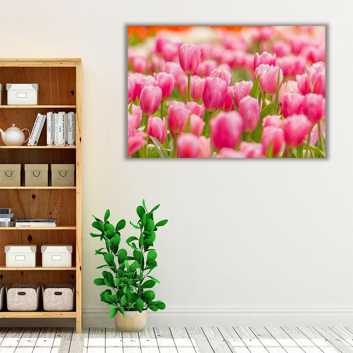 Pink Tulip Flower Field - Canvas Print Wall Art