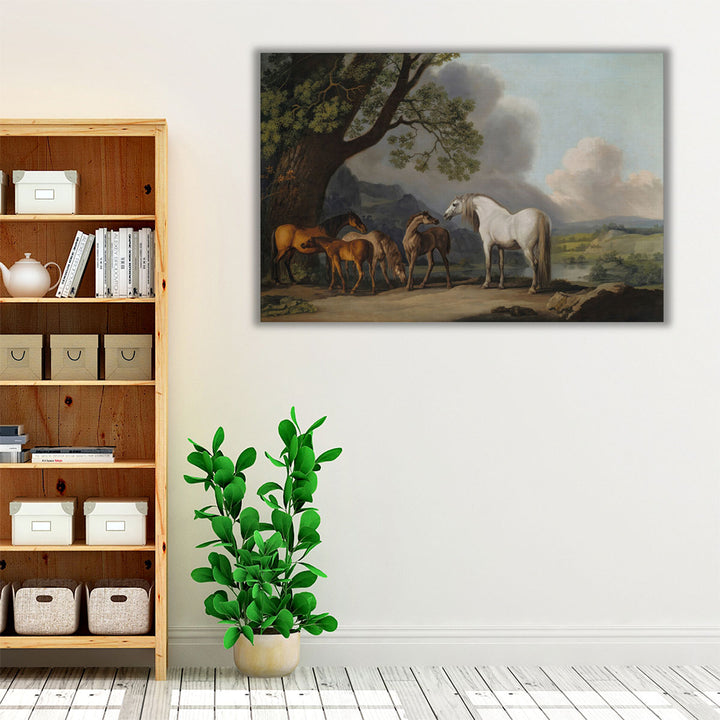 Mares and Foals in an Extensive Landscape - Canvas Print Wall Art