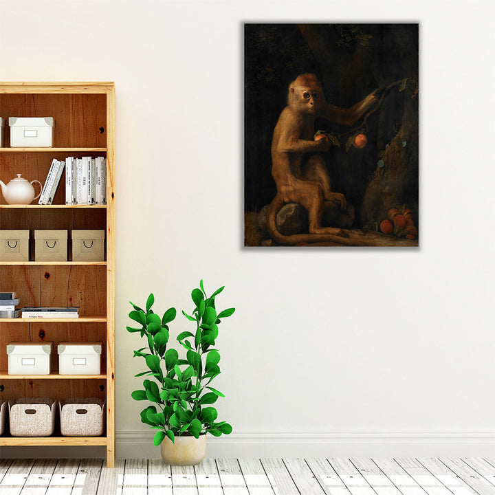 A Monkey, 1799 - Canvas Print Wall Art