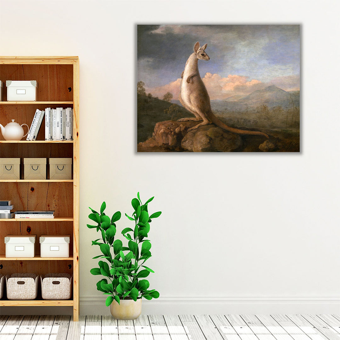 The Kongouro from New Holland - Canvas Print Wall Art