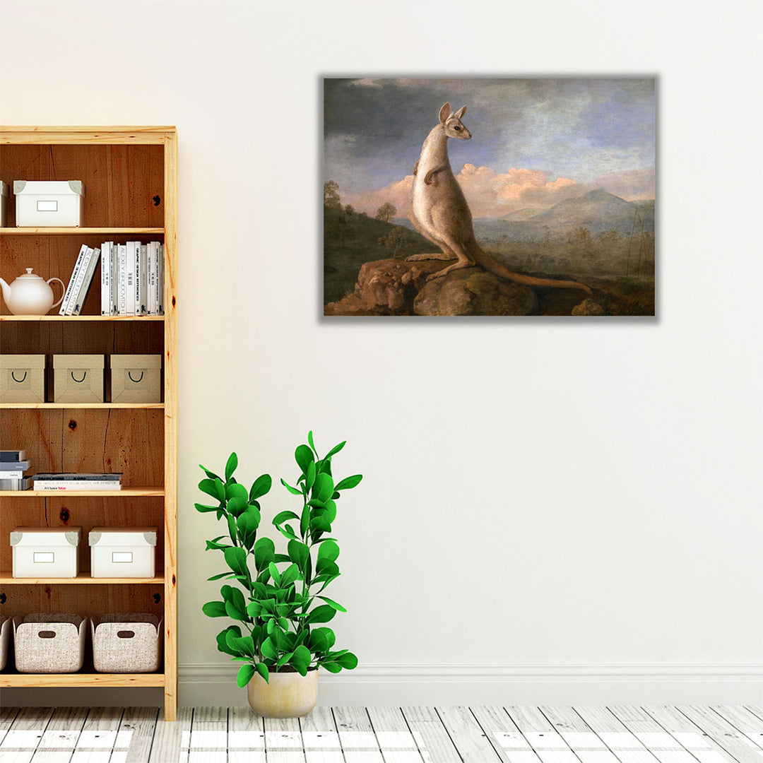 The Kongouro from New Holland - Canvas Print Wall Art