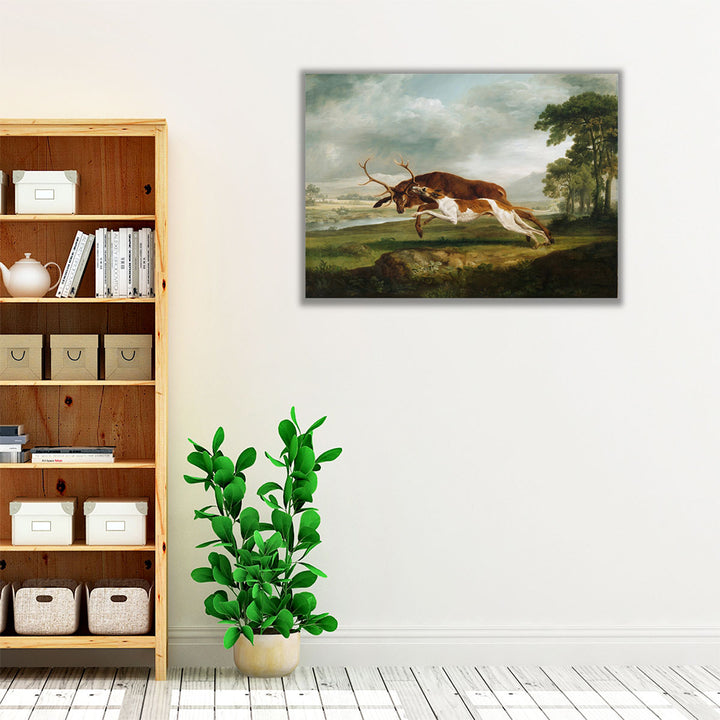 Hound Coursing a Stag, 1762 - Canvas Print Wall Art