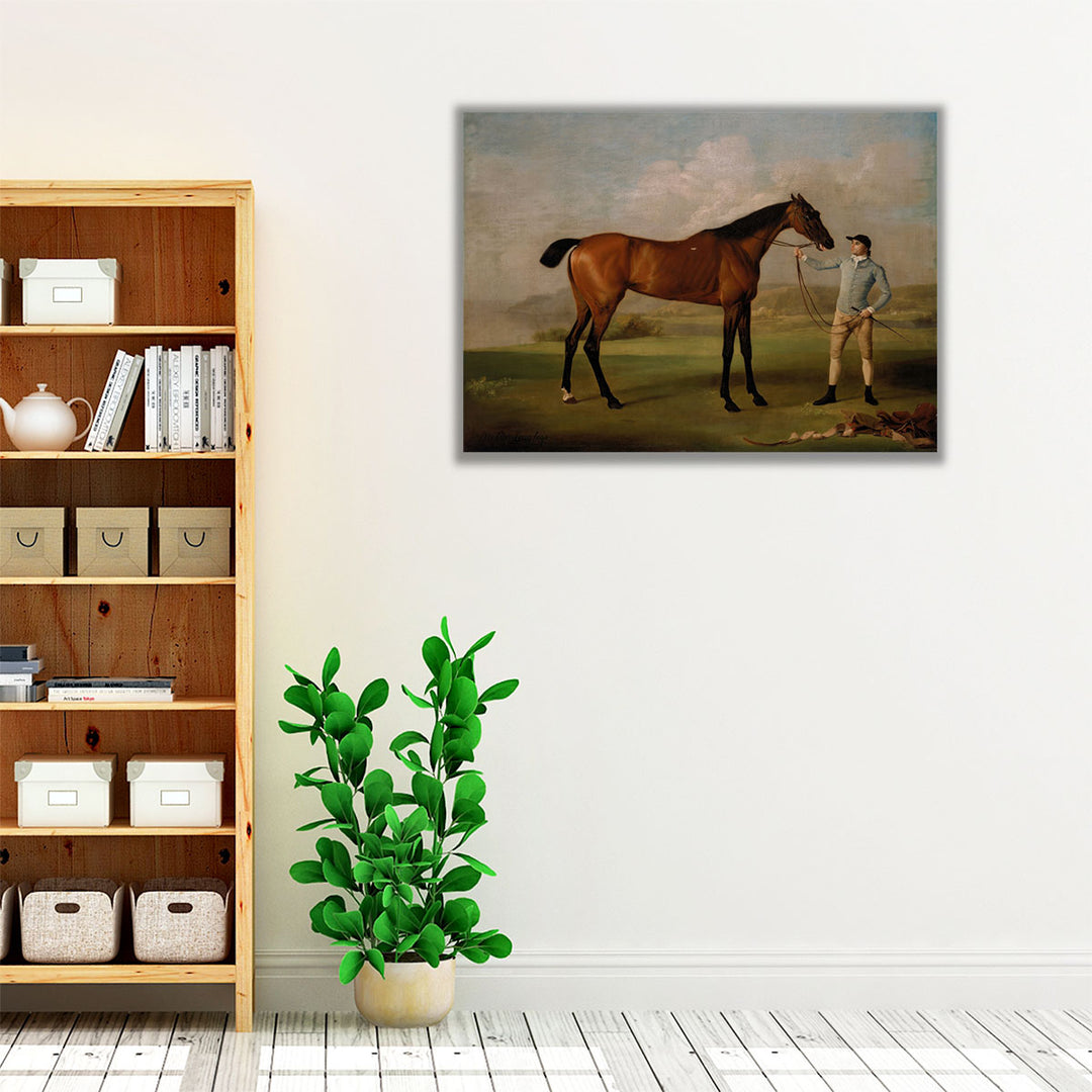Molly Long Legs with her Jockey - Canvas Print Wall Art