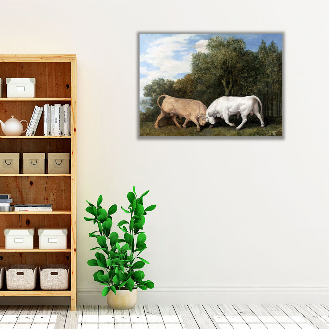 Bulls Fighting, 1786 - Canvas Print Wall Art
