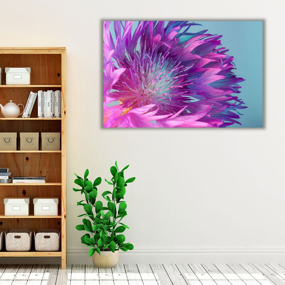 Purple and Turquoise Flower With Sharp Petals Close-Up - Canvas Print Wall Art