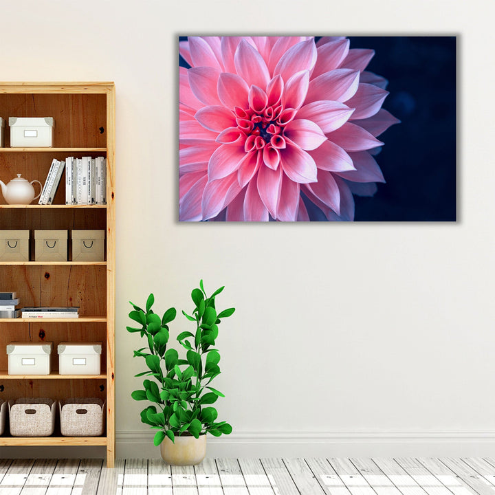 Vibrant Pink Dahlia On Dark Background - Canvas Print Wall Art