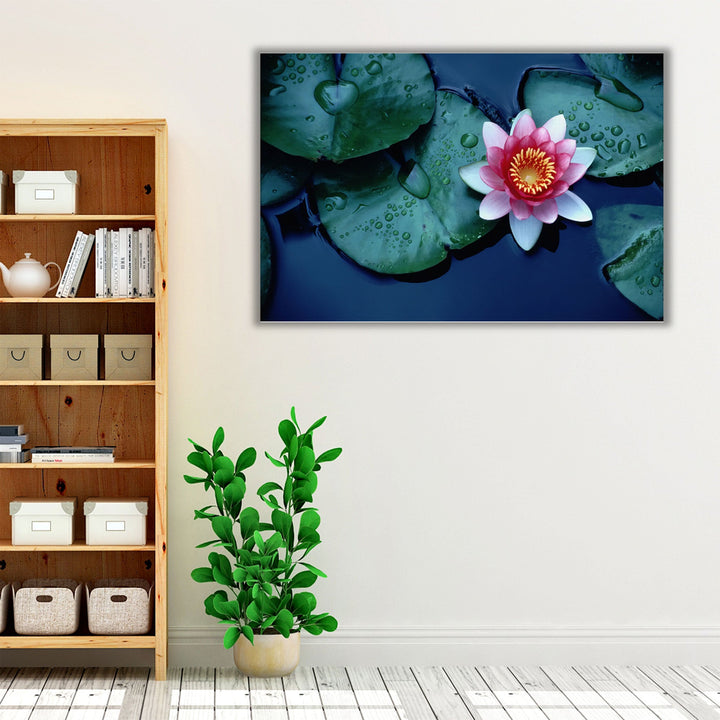 Waterlily or Lotus Flower at Bloom - Canvas Print Wall Art