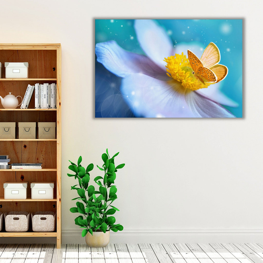 White Anemone Flower With Yellow Stamens and Butterfly - Canvas Print Wall Art