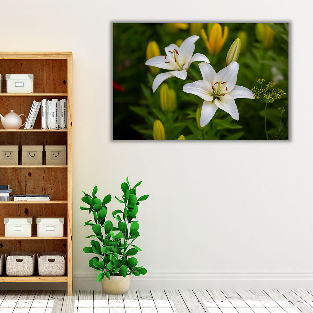 White Lilies Macro Shot - Canvas Print Wall Art