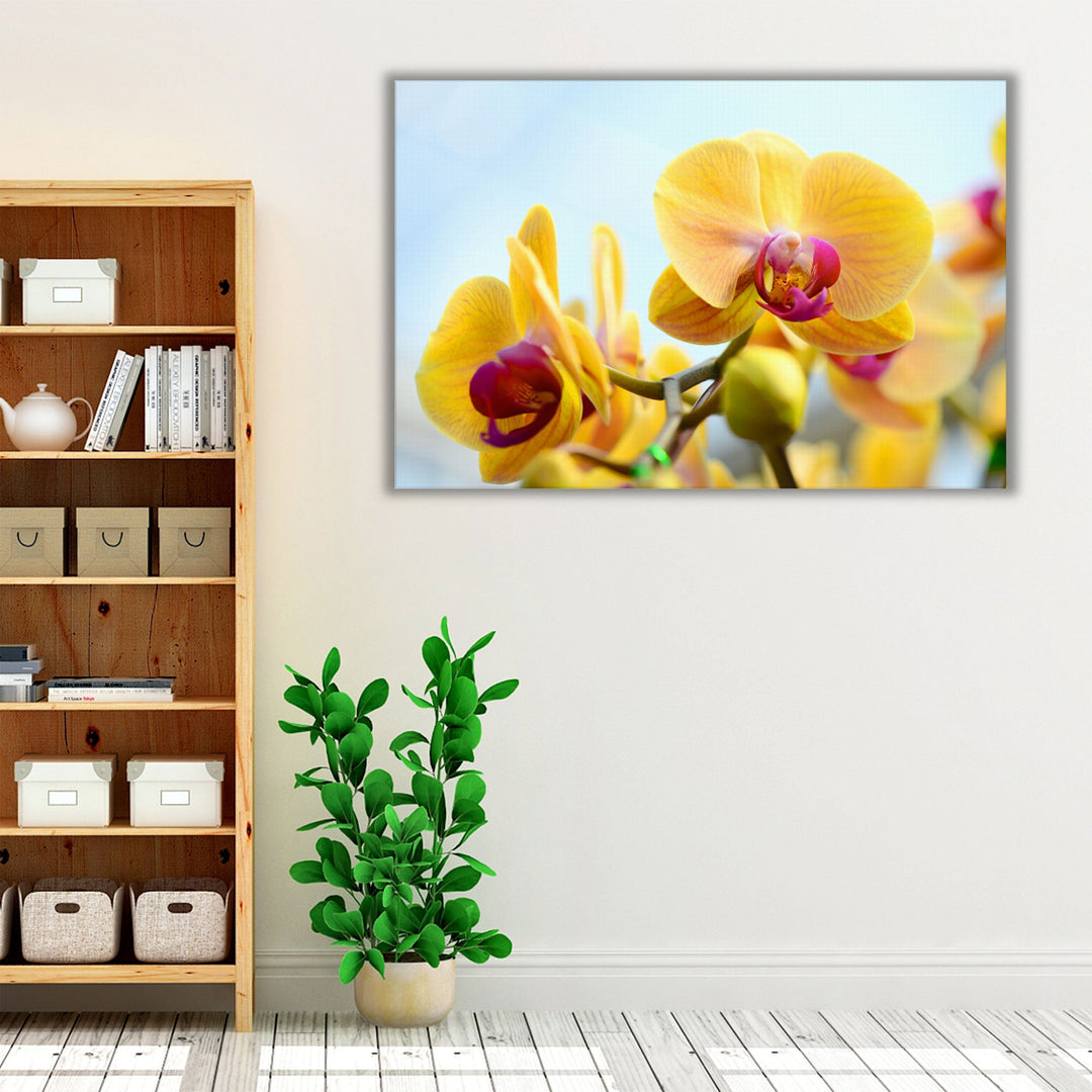 Yellow Orchids - Canvas Print Wall Art