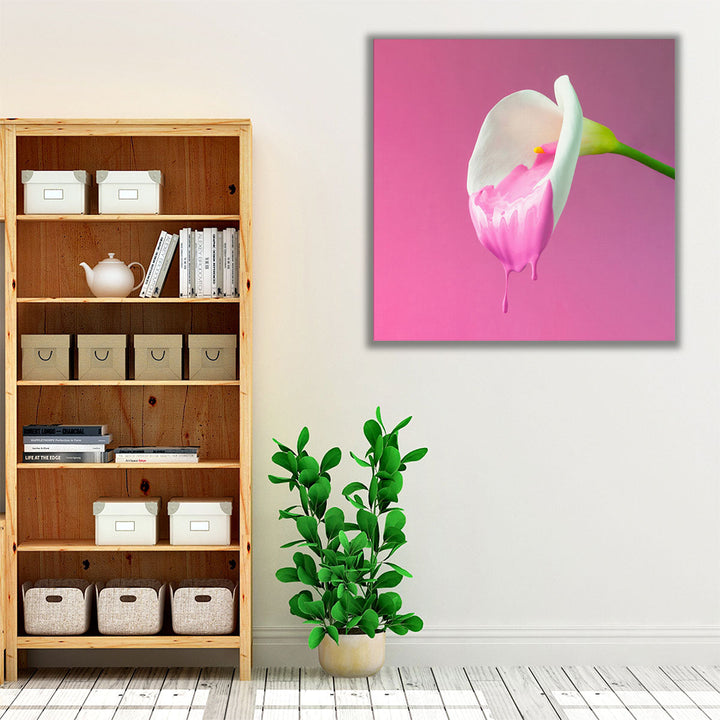 Calla Flower with Dripping Pink Paint - Canvas Print Wall Art