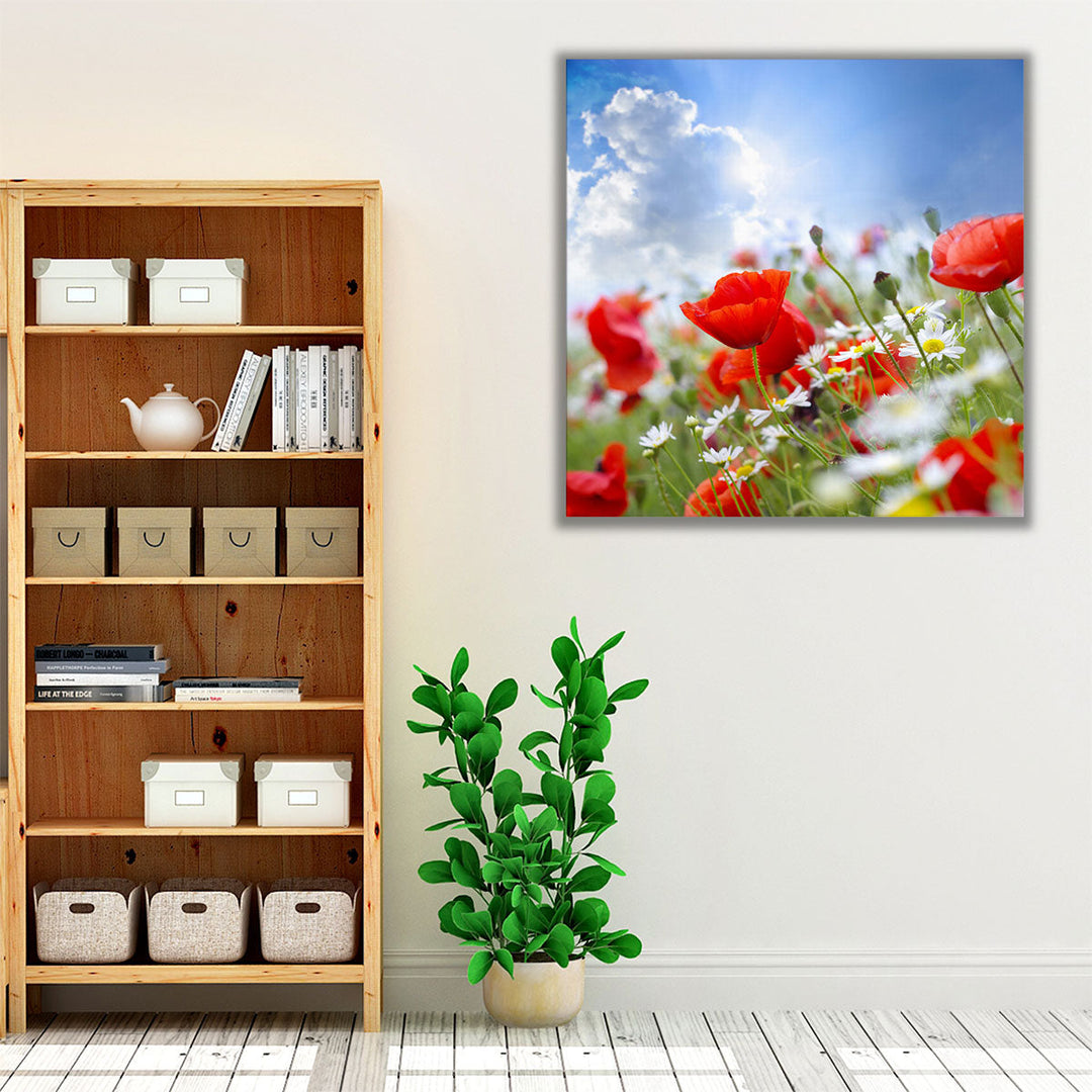 Poppy Flowers and The Sky - Canvas Print Wall Art