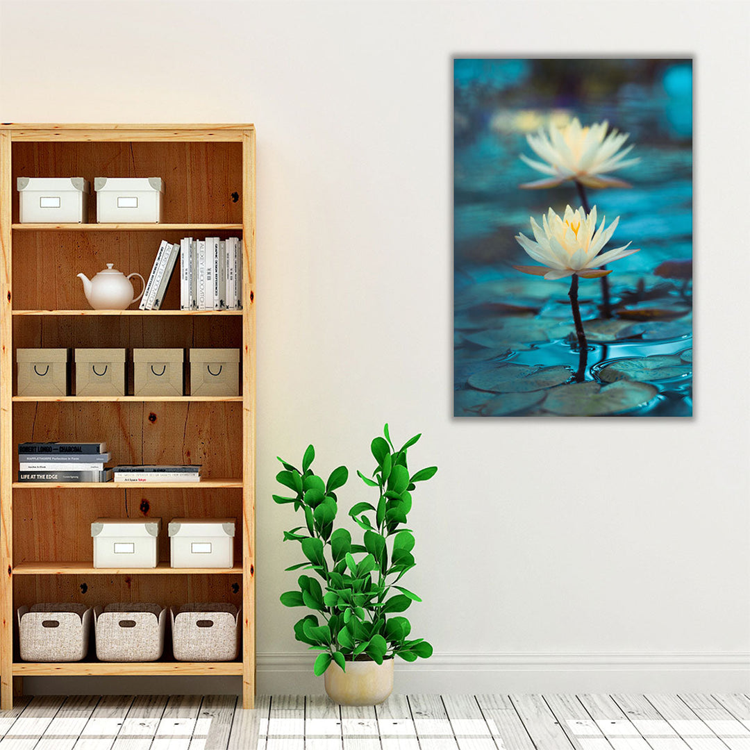 Bright White Water Lily or Lotus Close Up on Blue Background - Canvas Print Wall Art