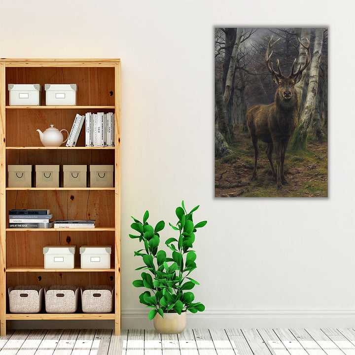 King of the Forest - Canvas Print Wall Art