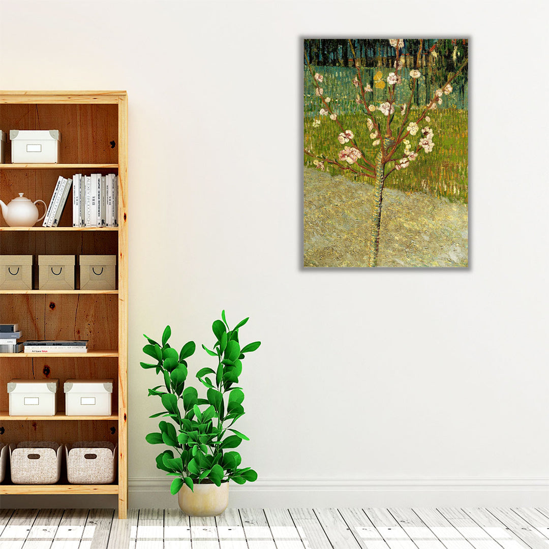 Almond Tree in Blossom - Canvas Print Wall Art